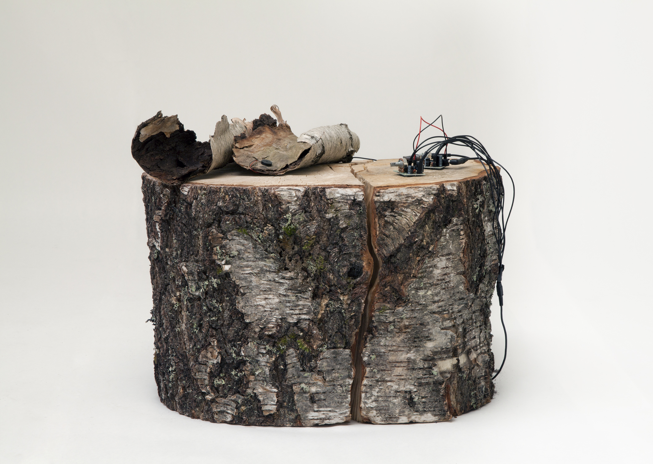 J.Blattmann_nytt redigert foto sendt til TU_sharpened