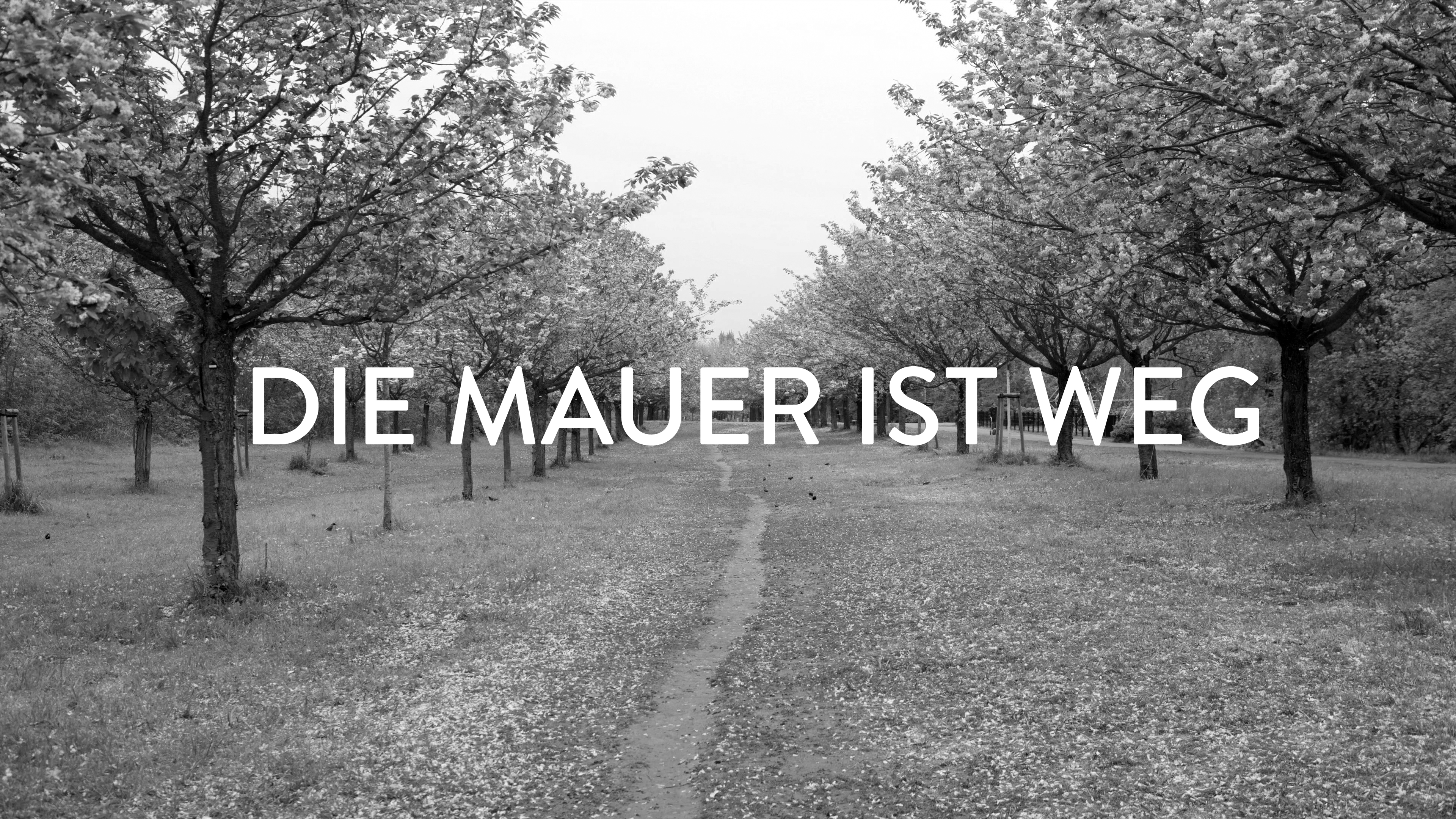 DIE MAUER IST WEG_POSTER