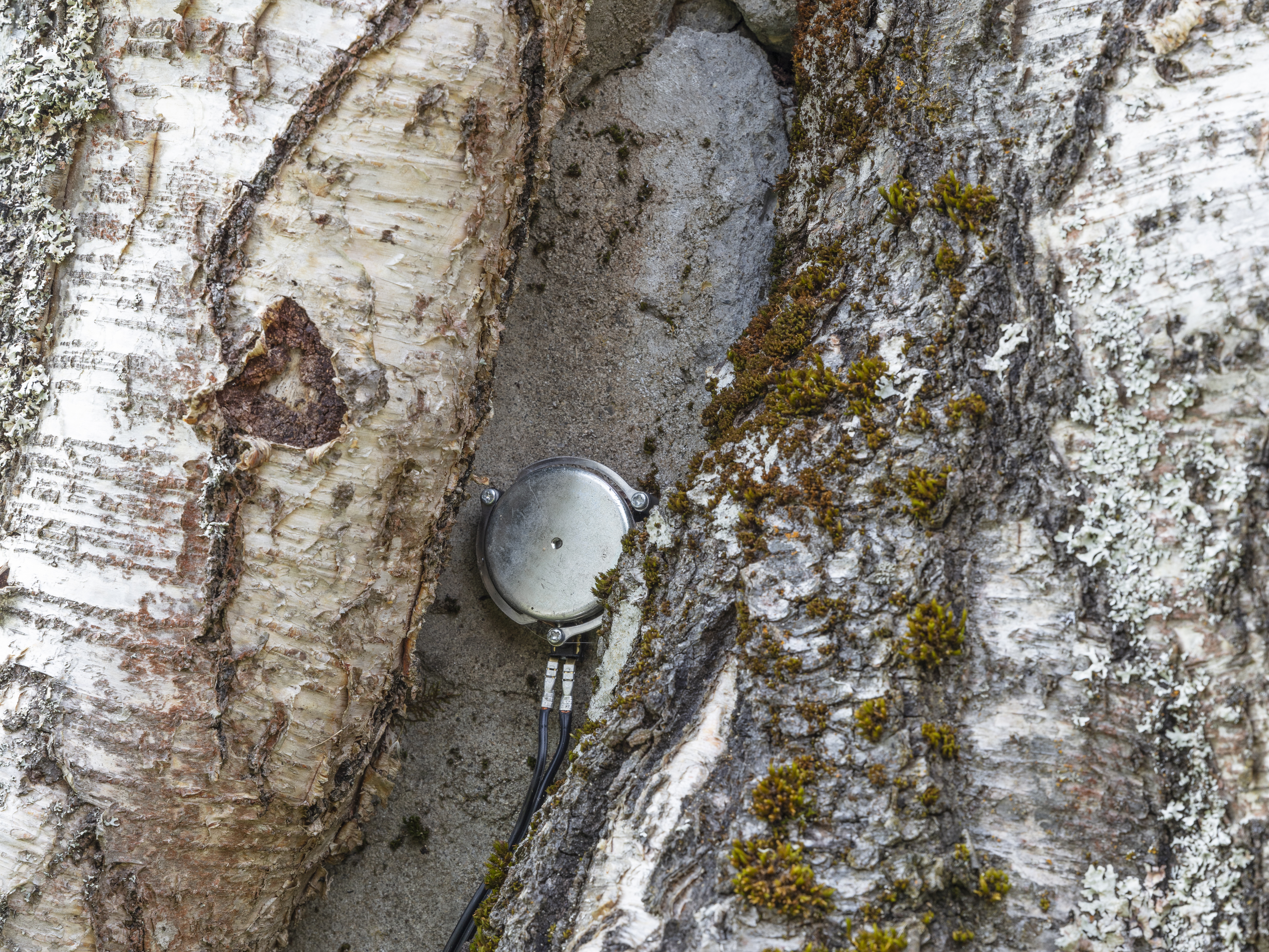 2021_08_Ringsveen_Lillehammer_cut 3_HighRes_12 copy