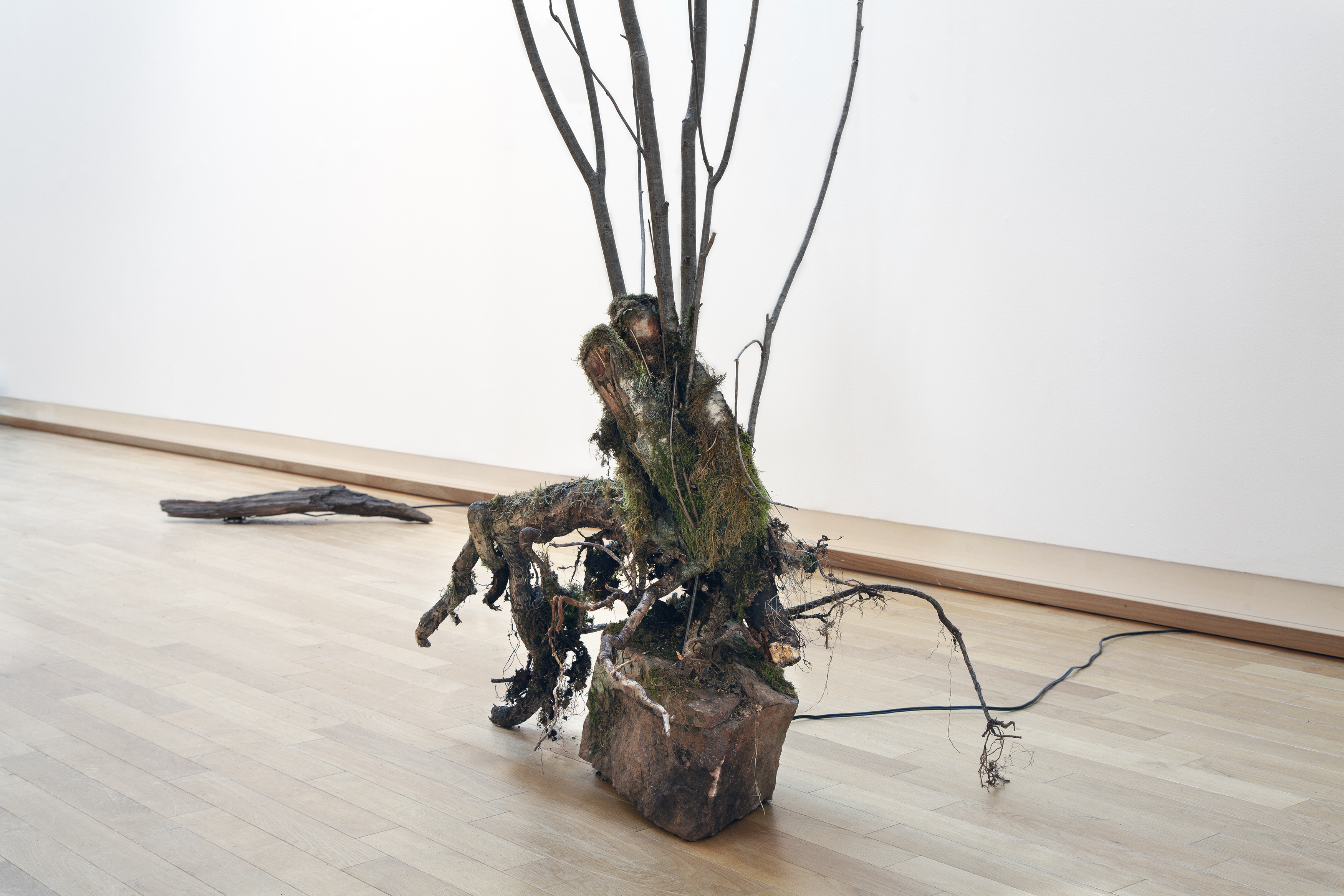 img_0194_7-til-web-2